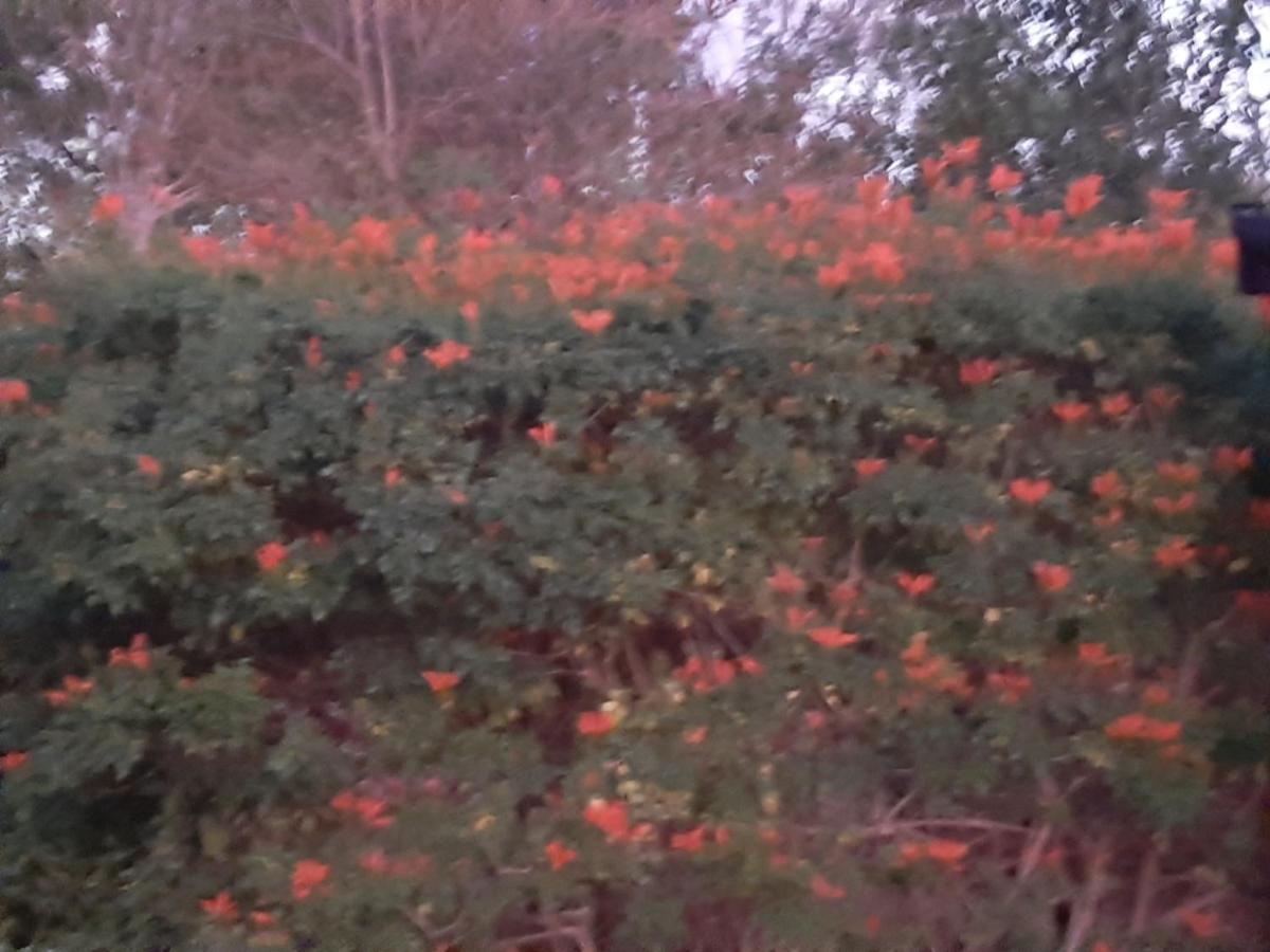 Mountain View Swellendam Exterior foto