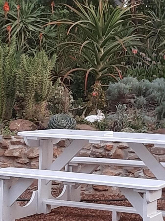 Mountain View Swellendam Exterior foto