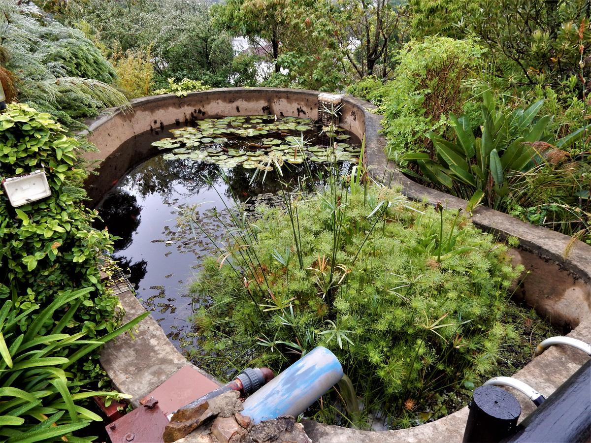 Mountain View Swellendam Exterior foto
